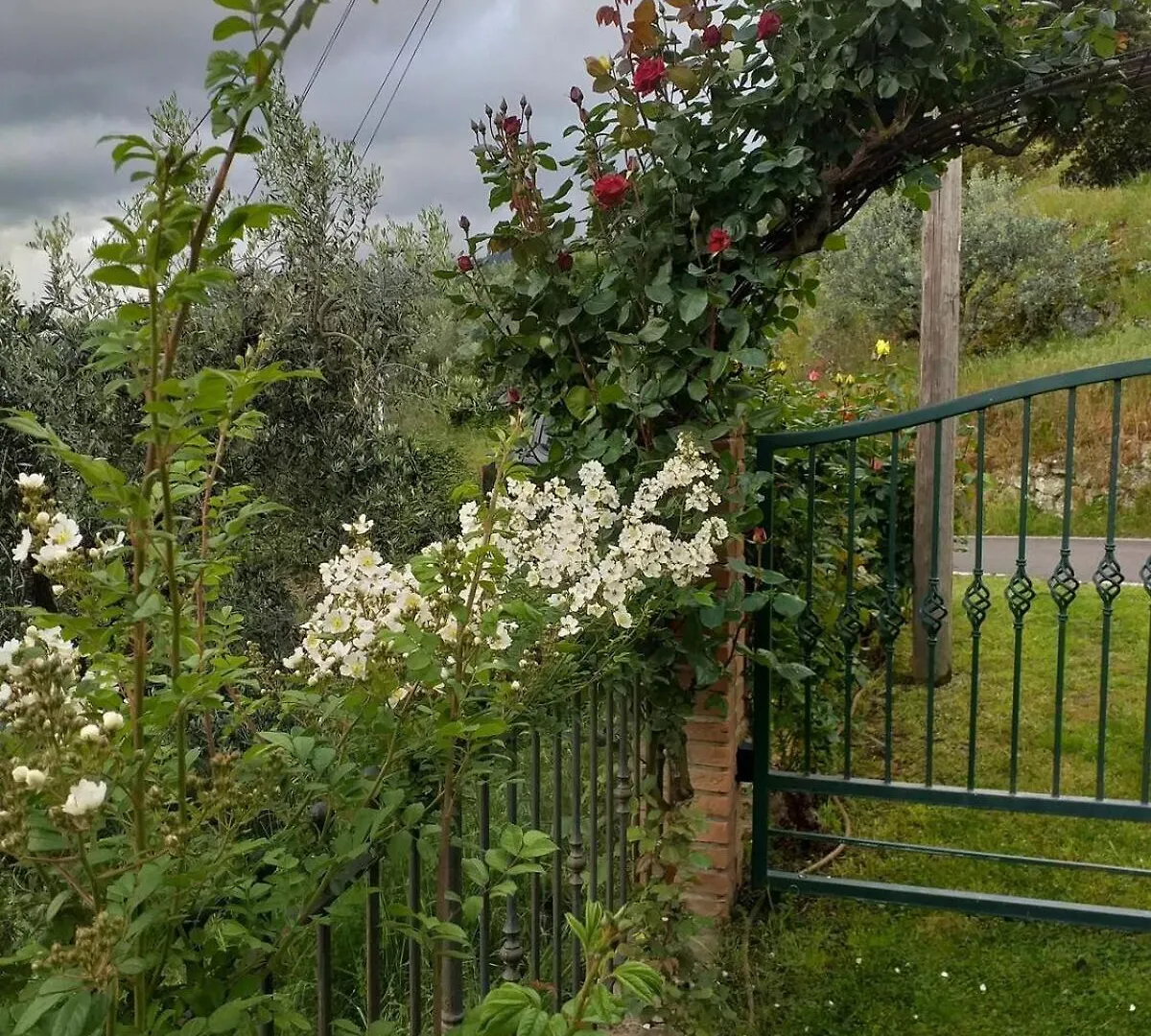La Sosta Di Fano Bed & Breakfast Reggello