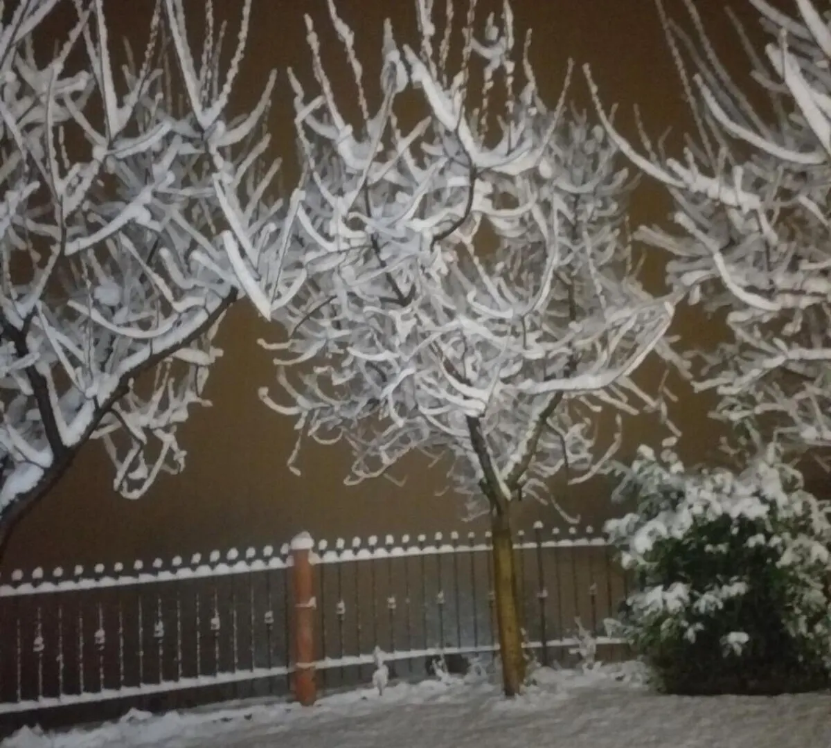 La Sosta Di Fano Bed & Breakfast Reggello