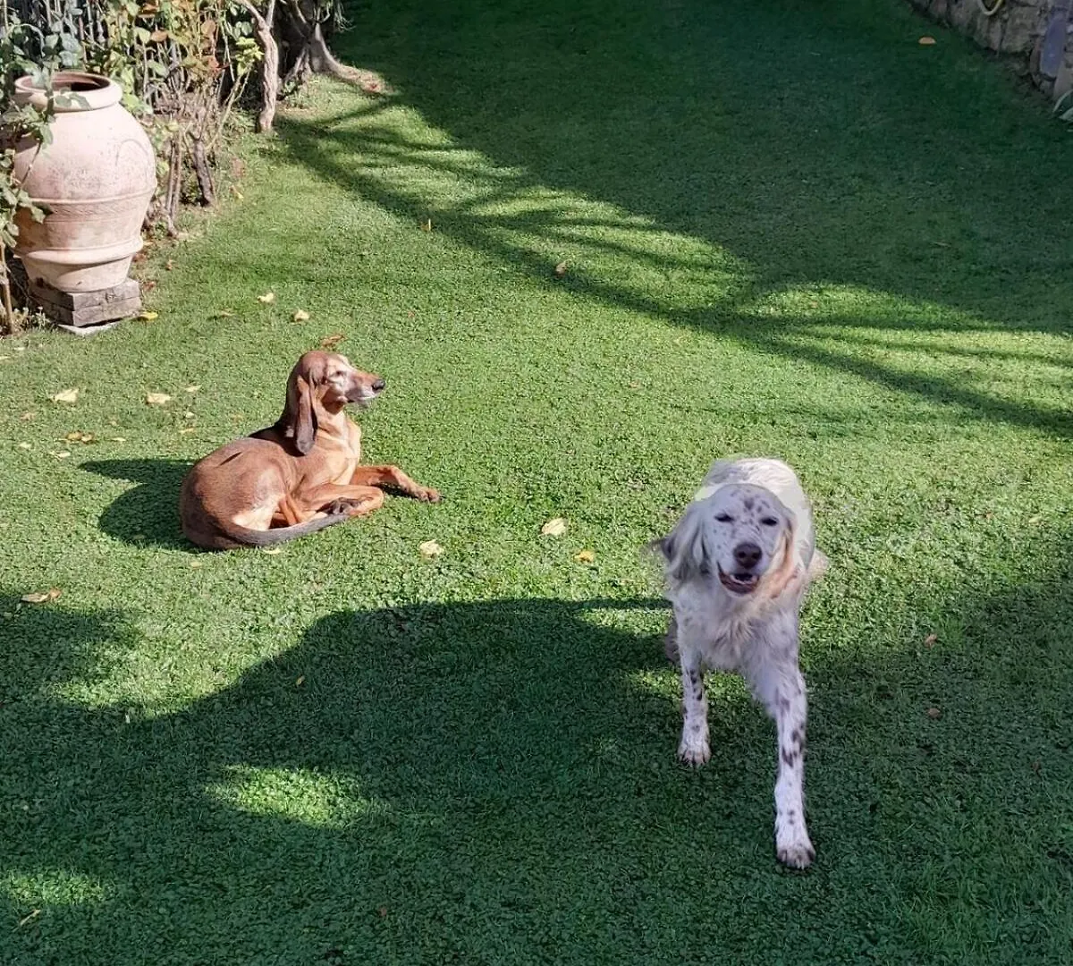 La Sosta Di Fano Bed & Breakfast Reggello
